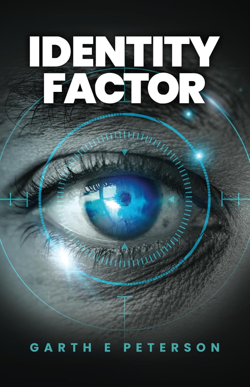 Cover of Identity Factor